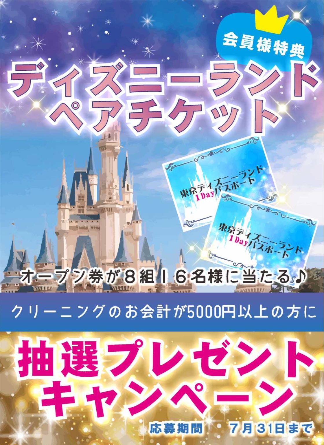 ディズニーペアチケット その他